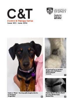 C&T Series Issue 323