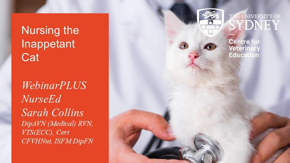 Nursing the Inappetant Cat WebinarPLUS NurseEd