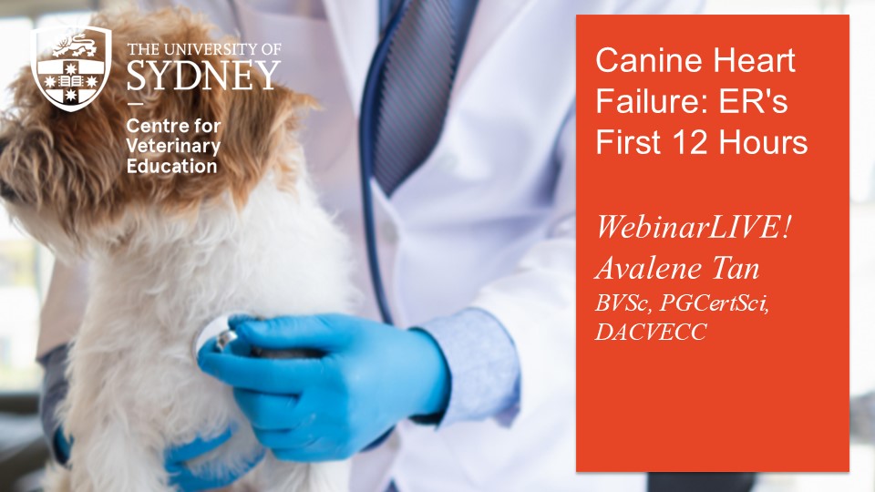 Canine Heart Failure: ER's First 12 Hours WebinarLIVE!