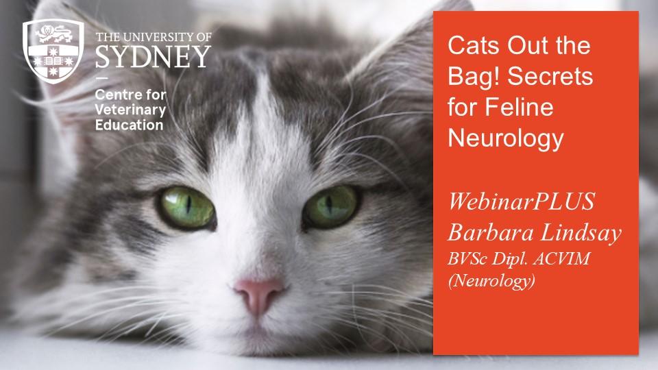 Cats Out the Bag! Secrets for Feline Neurology WebinarPLUS