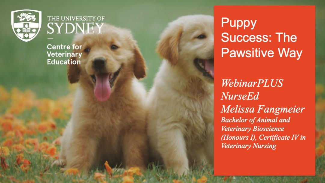 Puppy Success: The Pawsitive Way WebinarPLUS NurseEd