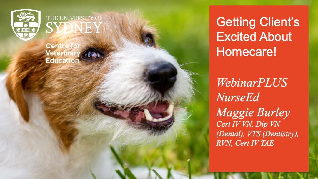 Getting Clients Excited About Homecare! WebinarPLUS NurseEd