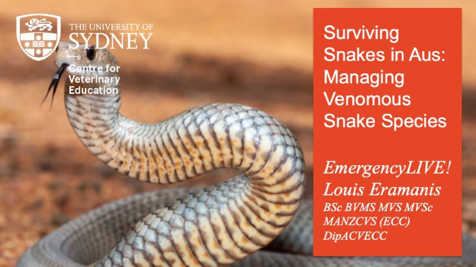 Surviving Snakes in Aus: Managing Venomous Snake Species EmergencyLIVE!