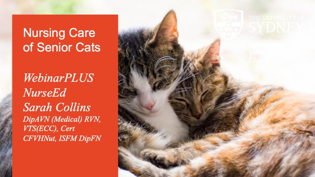 Nursing Care of Senior Cats WebinarPLUS NurseEd