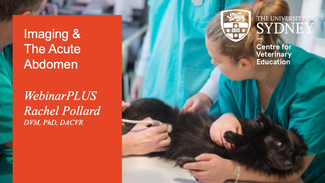 Imaging & The Acute Abdomen WebinarPLUS