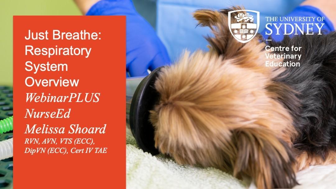 Just Breathe: Respiratory System Overview WebinarPLUS NurseEd