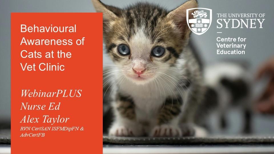 Behavioural Awareness of Cats at the Vet Clinic WebinarPLUS NurseEd