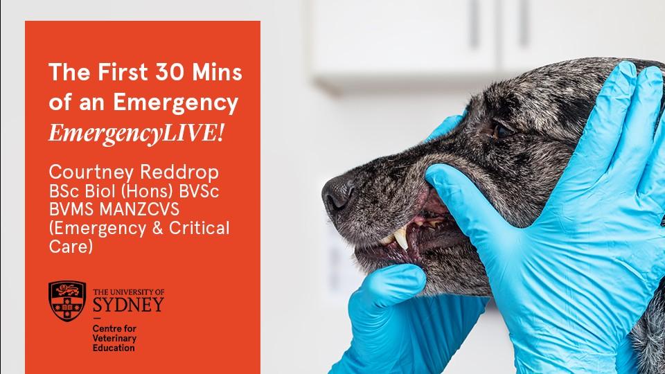 The First 30 Mins of an Emergency EmergencyLIVE!