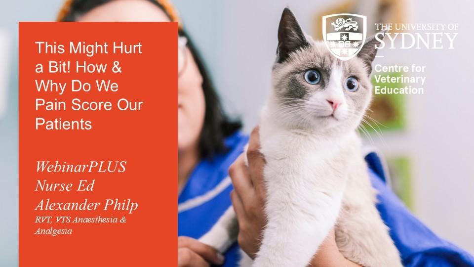 This Might Hurt a Bit! How & Why Do We Pain Score Our Patients? WebinarPLUS NurseEd