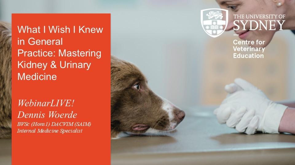 What I Wish I Knew in General Practice: Mastering Kidney & Urinary Medicine WebinarLIVE!