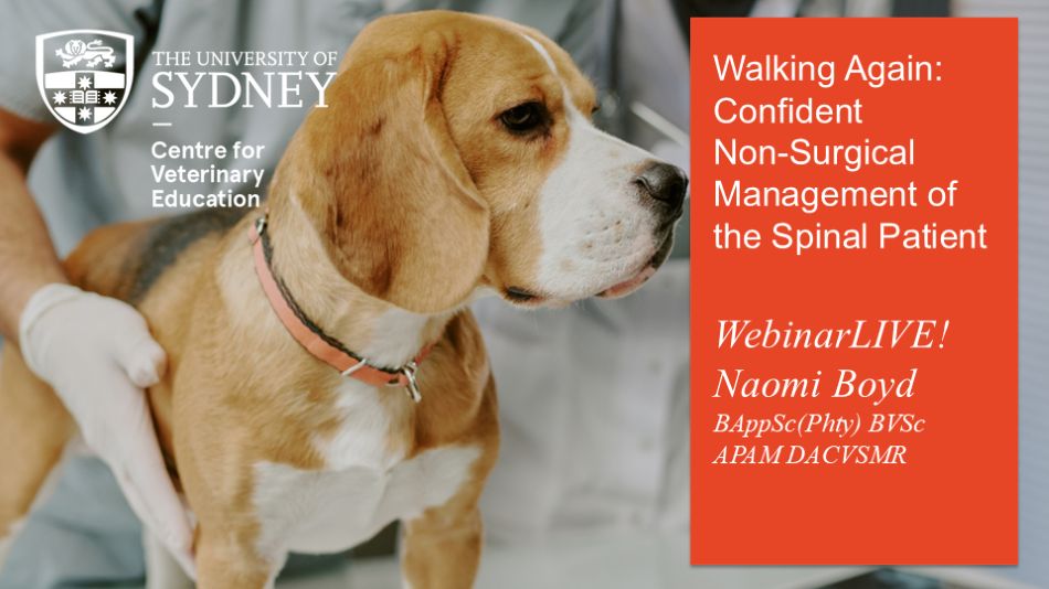 Walking Again: Confident Non‑Surgical Management of the Spinal Patient WebinarLIVE!