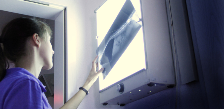 Beyond the Grey: From Images to Answers WebinarPLUS