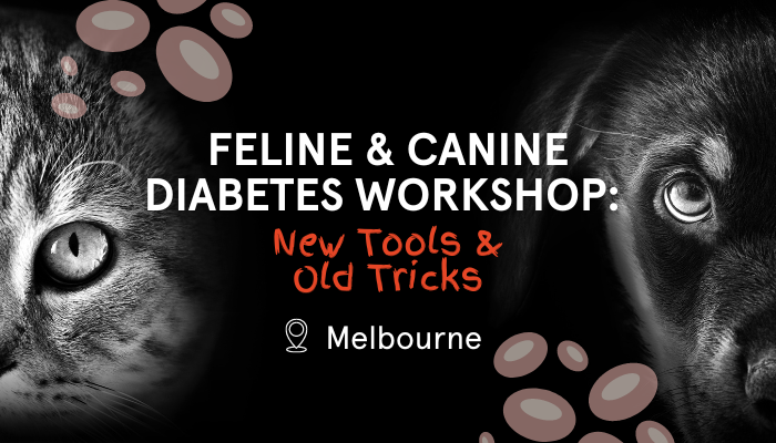 Feline & Canine Diabetes Workshop: New Tools & Old Tricks