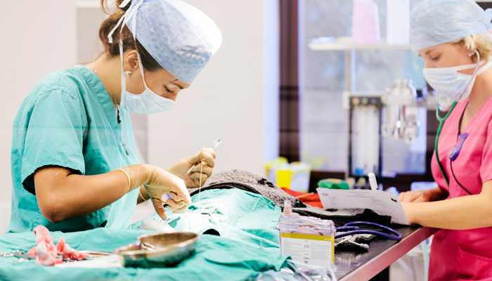 Surgery Intensive: Practical Skills for GP Vet Workshop